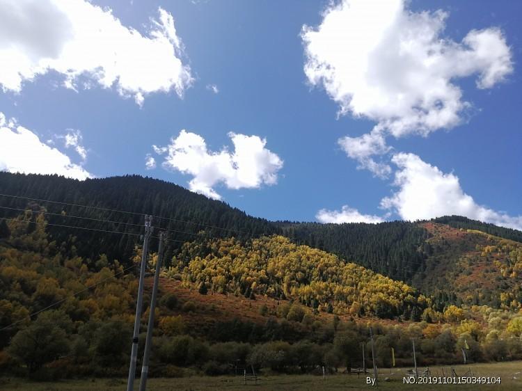 砥砺传承 匠心筑梦|山东漆器髹饰技艺代表性非遗传承人李程