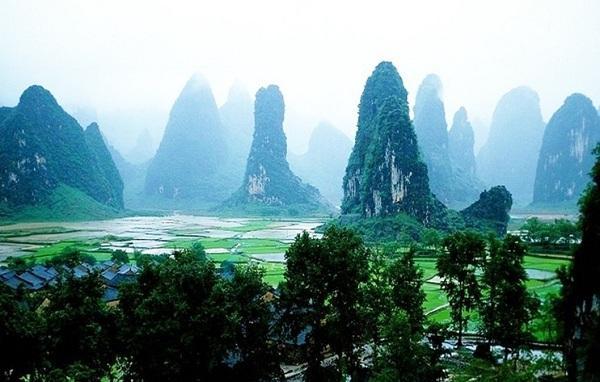 逃离水虎鱼湖